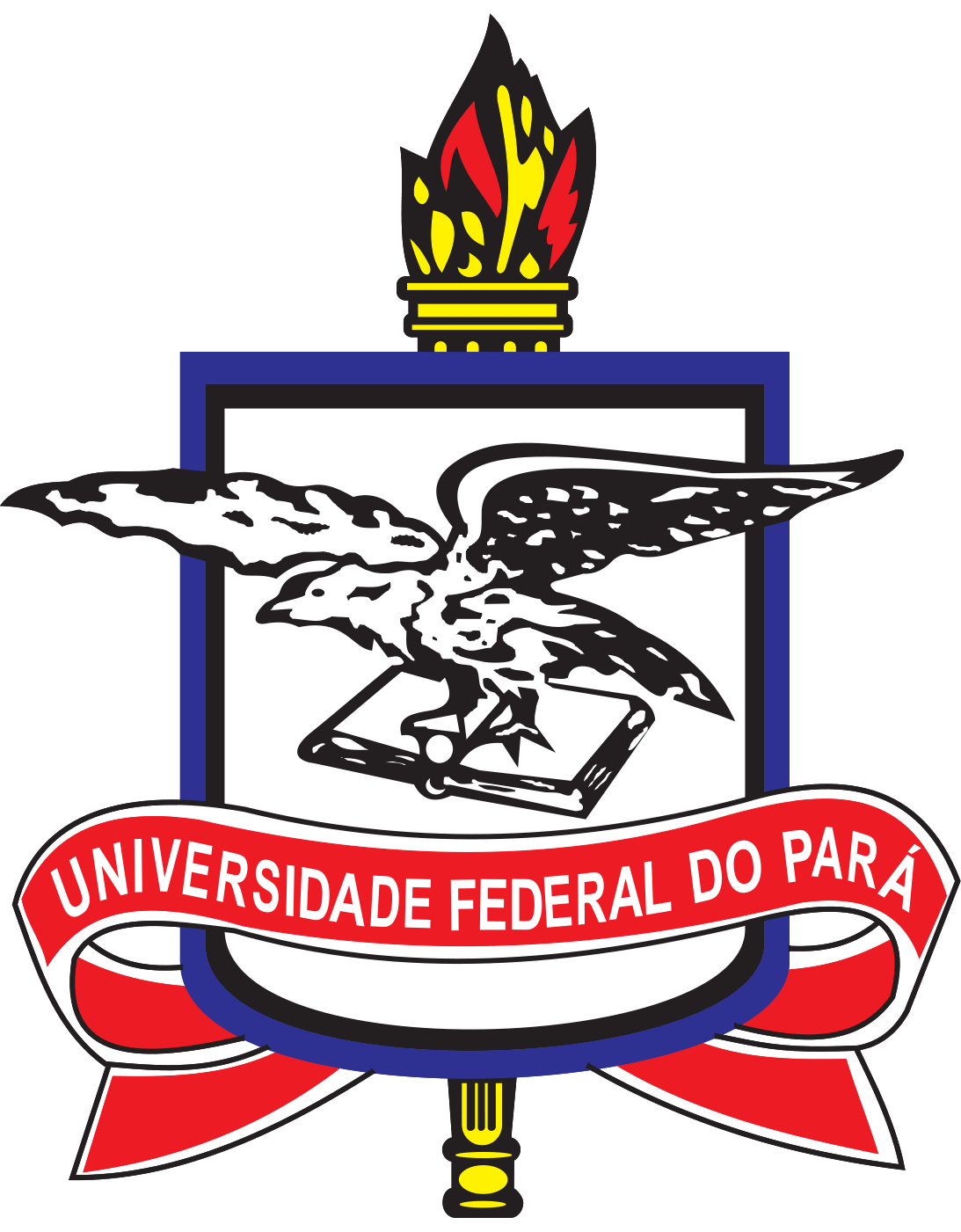 ___UFPA___